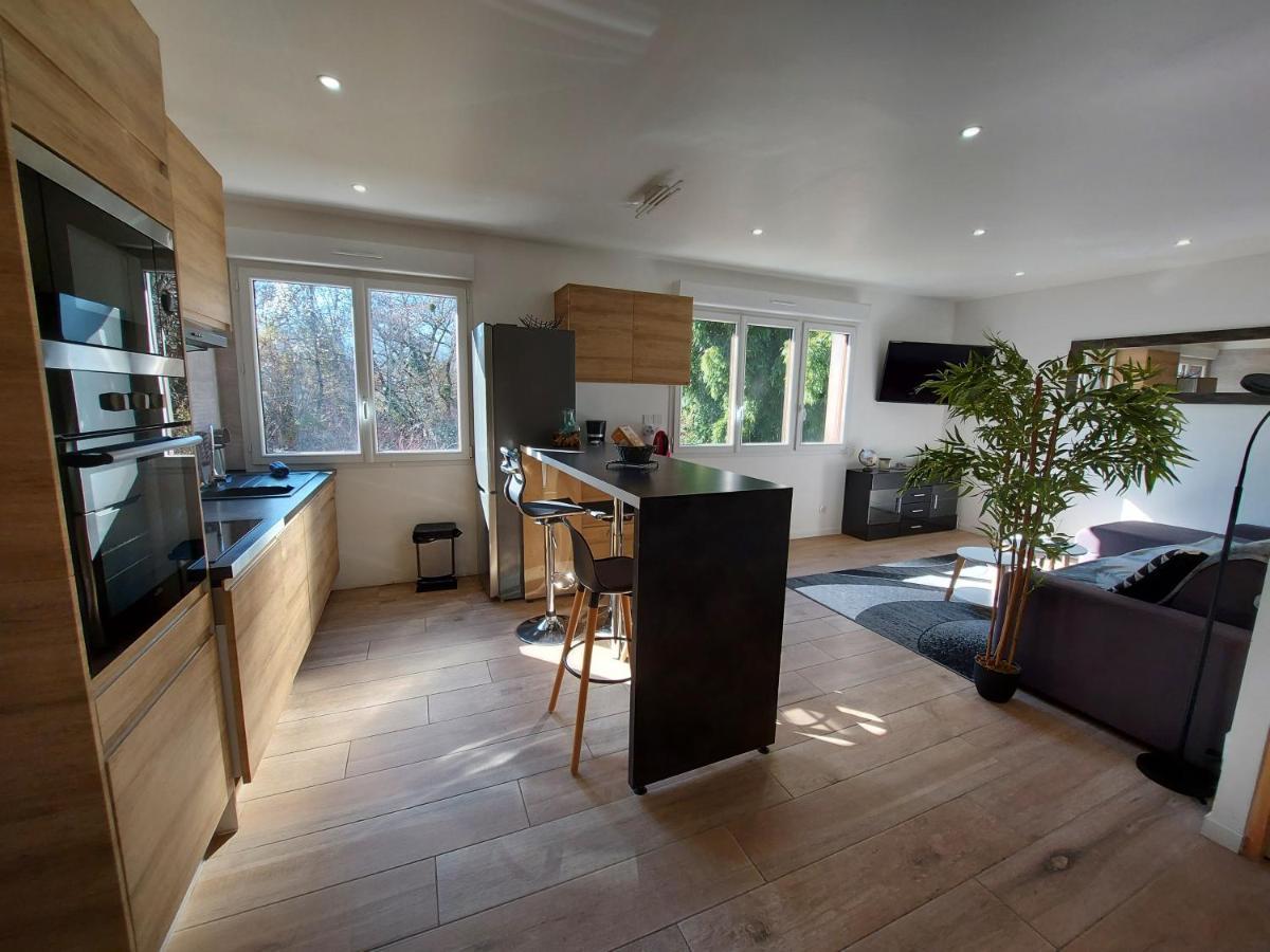 Superbe Appartement Au Centre De St Jorioz Saint-Jorioz Eksteriør billede