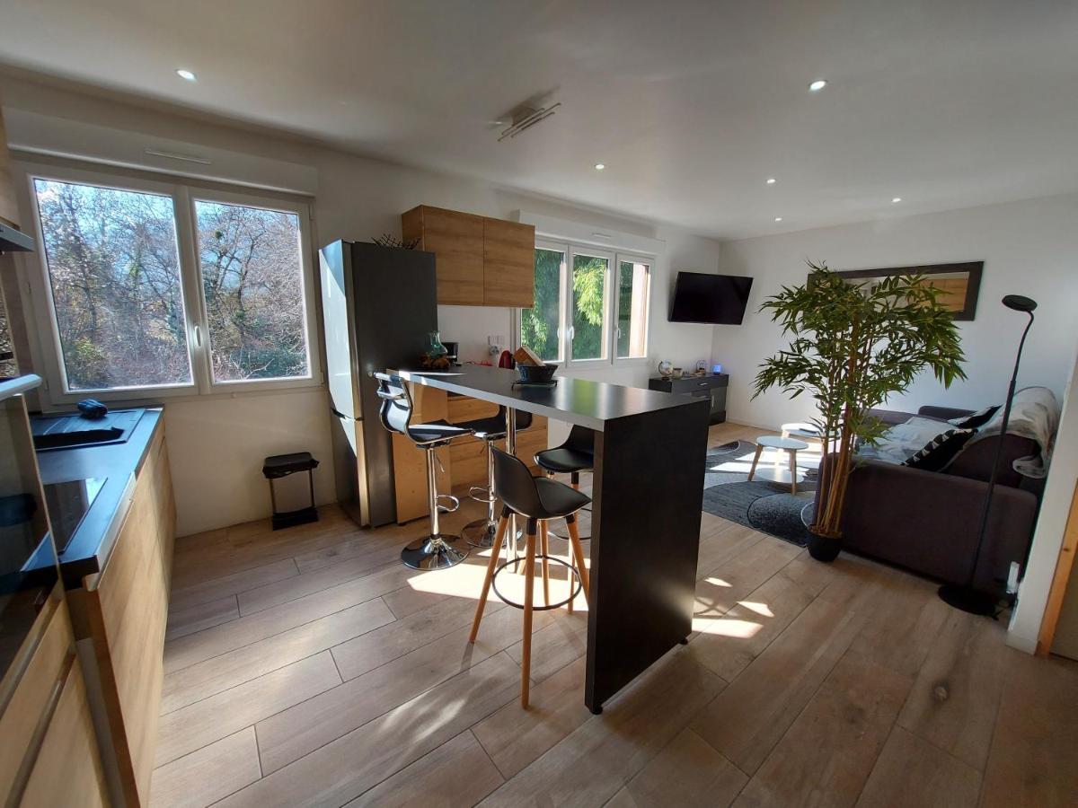 Superbe Appartement Au Centre De St Jorioz Saint-Jorioz Eksteriør billede