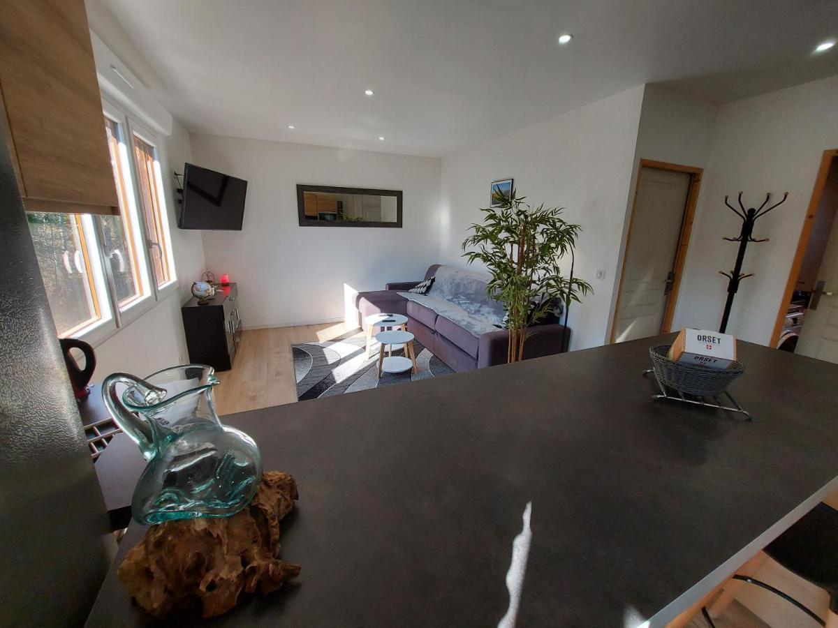 Superbe Appartement Au Centre De St Jorioz Saint-Jorioz Eksteriør billede